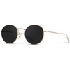 image:imageWearMe Pro  Reflective Lens Round Trendy SunglassesGold Frame  Black Lens