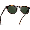 Brown Tortoise / Smoke Green Lens