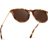 Maple Tortoise / Brown Lens