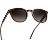 image:imageWearMe Pro WMP Eyewear  Mens Classic Round Polarized Sunglasses Premium Slim Acetate Frame with Dashed Rivet DetailsBurnt Cedar Brown  Oak Brown Gradient Lens