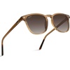 Crystal Brown Frame / Brown Gradient Lens